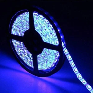 12V 24V 16.4ft LED Light Strip SMD5050 Indoor Outdoor Room Party Decor 300LEDs - Picture 1 of 11