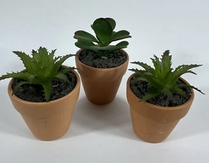 Mini Künstliche Sukkulenten Pflanze Realistische Faux Sukkulenten im Terrakotta Tontopf - Bild 1 von 3