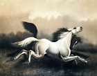 Two Black and White Spirited Horses by Hoover