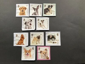 2024 GB STAMPS DOGS VFU Set of 10 Collie, Whippet, Spaniel, Dalmatian, Corgi - Picture 1 of 1