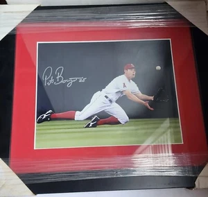 Anaheim Angels Baseball Peter Bourjos Signed 8x10 Autographed Framed Photo - Picture 1 of 6