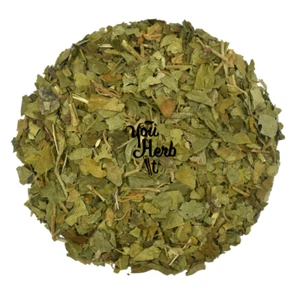 Gymnema Hojas Cortadas Té de Hierbas 300g-2kg - Gymnema Sylvestre - Imagen 1 de 3