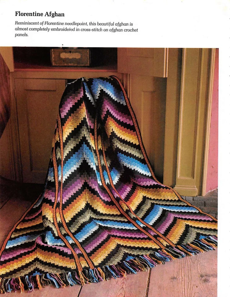Florintine Afghan in Afghan Stitch Crochet Vintage - Image 1 of 1
