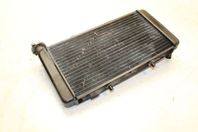1998 BMW F650 Funduro Engine Radiator Motor Cooler Cooling Radiater 17112345046 Foto 1 de 4