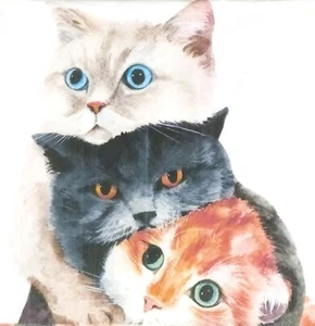 P902# 3 servilletas de papel individuales para tejido decoupage tres lindas cabezas de gato  - Imagen 1 de 8