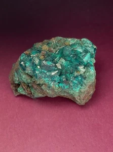 Dioptase Kristalle auf Matrix Sanda Mine Republik Kongo tiefgrüne Kristalle! - Bild 1 von 5