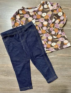 Carter’s Floral Long Sleeve Top & Jean Legging 2 Piece Set Size 18M - Picture 1 of 5