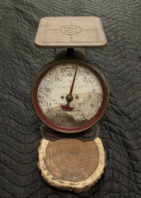 Vintage Winchester 20 Pound Family Scale With Decals - Image 1 of 4