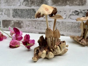 Hand-Carved Mushrooms on Teak Root Wooden Toadstool Ornament Sculpture Gift - Picture 1 of 7