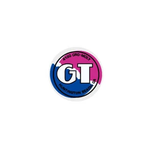 1987 GT BMX - head & seat tube decal - Huntington Beach - on clear - Picture 1 of 1
