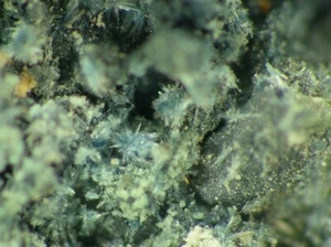 ILSEMANNIT aus Utah, USA * SELTENES MOLYBDÄNOXID MINERAL * 2 cm - Bild 1 von 4