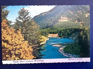 Postcard Snake River Canyon Autumn Colors Teton Jackson Hole Wyoming A208 - Foto 1 di 2