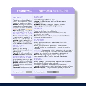 Postnatal Assessment BUBBLEHE, Midwifery Reference Cards, Clinical Card Midwife - Picture 1 of 2