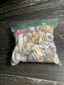 Assorted Mixed Seashells Sea Shells Best Price US Seller FREE Ship! 1lb + H1 - Picture 1 of 5