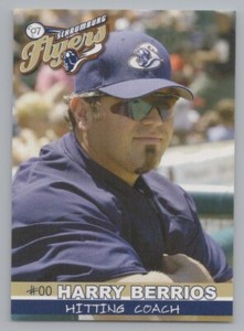 Harry Berrios 2007 Schaumburg Flyers Northern League 