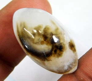 36.20 Ct Natural Agate (Sulemani Hakik) Black & Gray Eye Cabochon Loose Gemstone - Picture 1 of 6