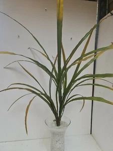 3 X Artificial green/yellow Leaf Orchid large Plants 100cm Foliage, Greenery - Picture 1 of 12
