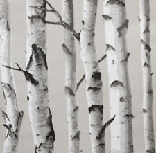 Birch Tree peel and stick wallpaper for kitchen feature walls