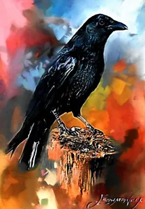 Cuervo, Personalizado Creado Artista Firmado Limitado #32/50 Tarjeta Coleccionable Naturaleza Vida Silvestre - Imagen 1 de 2