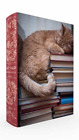 Gibbs Smith Cat Nap Book Box Puzzle (Other printed item)