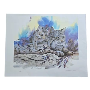 Eda Ida Svanhild Davis Bobcat Print 88/400 Signed Limited Edition 22"x17" Art - Picture 1 of 8