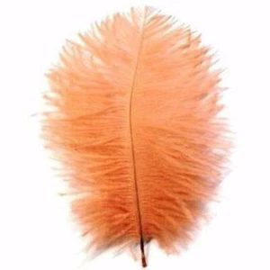 Ostrich Feather Drab 6-15cm x 5 - Apricot ((SECONDS)) - Picture 1 of 1