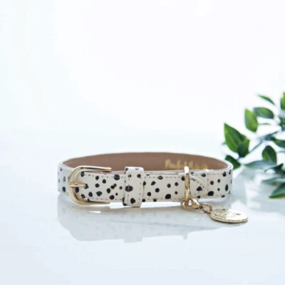 Polka dot Vegan Dog Collar PU Fake Leather Gold Buckle Hardware Puppy Matching - Image 1 of 2