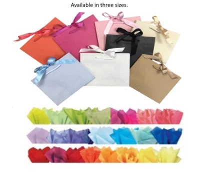 Boutique Shop Ribbon Tie Gift Bags Rope Handle Events Bag & Tissue Wrap