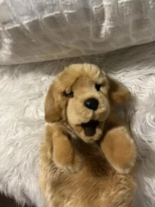 Douglas Cuddle Toy Golden Retriever Plush Hand Puppet Childrens Toy Playful - Picture 1 of 4
