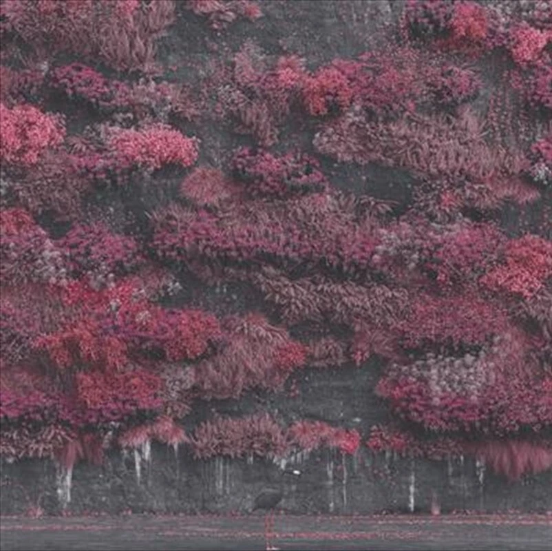 Sleep Token - Even In Arcadia CD - Image 1 of 1