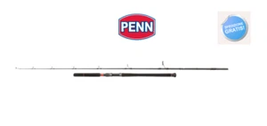 Canne à Pêche Penn Conflict Offshore Casting Pelagic MT 2.44 gr.35/80 Carbone - Photo 1/4
