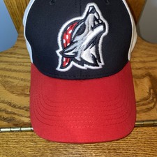 Erie Seawolves Minor League Baseball Cap