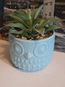 Owl Succulent Planter With Faux Succulent Light Blue - Picture 1 of 3