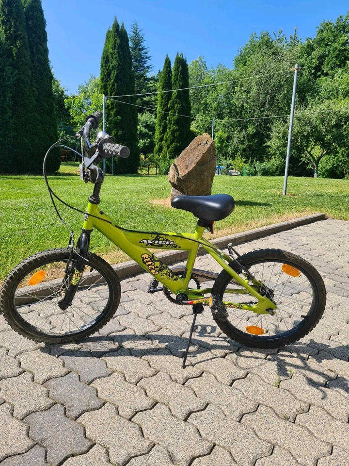 Dino Bikes T- Rex 2019 16 Zoll Kinderfahrrad - Schwarz/Grün (616LDS) - Bild 1 von 1