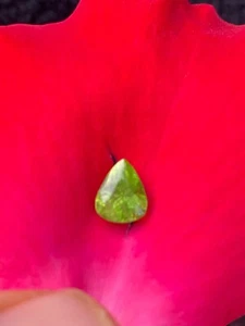 2.05 carat Natural Cut peridot pear shaped loose gemstone from Pakistan - Picture 1 of 5