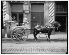 New Orleans Louisiana a typical milk cart c1900 OLD PHOTO