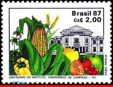 2106 BRAZIL 1987 AGRICULTURE INSTITUTE OF CAMPINAS, IAC, FRUIT, RHM C-1553, MNH
