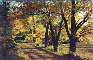 Postal Country Road Greetings Millerton Nueva York sin publicar - Imagen 1 de 2