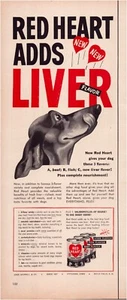 Print Ad Red Heart Dog Food 1953 Dachschund Half-Page Magazine 5"'x12" - Picture 1 of 1