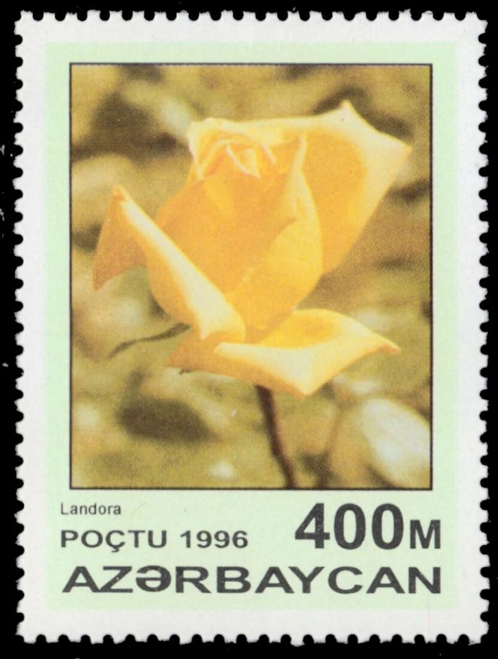 AZERBAIJAN 603 - Garden Roses "Landora Rose" (pb76259) - Image 1 of 1