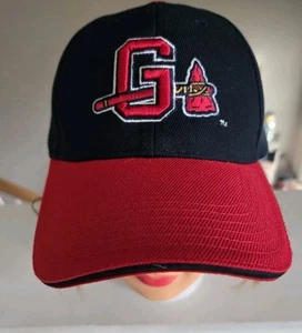 Gwinnett Braves MiLB verstellbare Kappe Mütze marineblau rot Atlanta Melonwear Baseball gebraucht, in einwandfreiem Zustand - Bild 1 von 12