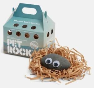 A24 Everything Everywhere All at Once Official PET ROCK - IN HAND 
