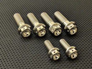 Aprilia RSV Mille Titanium drilled brake caliper bolts Tuono Ti full kit race - Picture 1 of 4