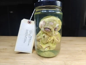 Alien Embryo Lge /Alien Specimen - Picture 1 of 10