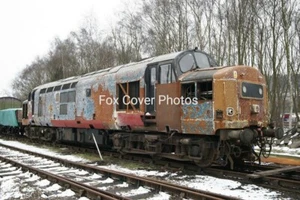EE Class 37 37131 6x4 Farbfoto - Bild 1 von 1