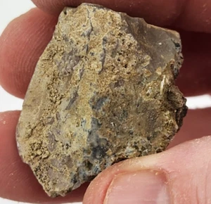 Agatized Petrified Wood Piece - Oregon - Miocene (?) - Fossil - Picture 1 of 5