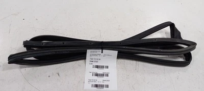 Toyota Corolla On Door Seal Rubber Right Passenger Rear Back 2019 2018 2017 2016 - Image 1 of 4