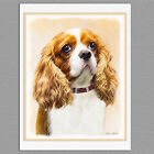 6 Cavalier King Charles Spaniel Dog Art Note Greeting Cards