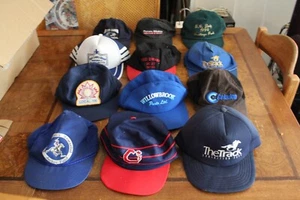 Vintage Trucker Hat Cap Lot Of 12 Snap Back Mesh Foam  caps hats - Picture 1 of 5