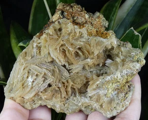 Schönes Baryt Honig Frankreich 10,5x8,5cm Mineralsammlung Barytstein Reiki - Bild 1 von 11